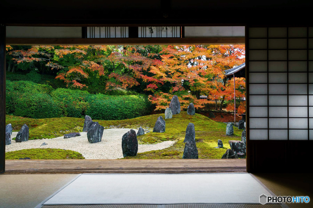 京都紅葉巡り