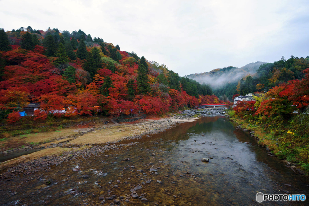 紅葉