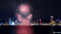 夜景を花火