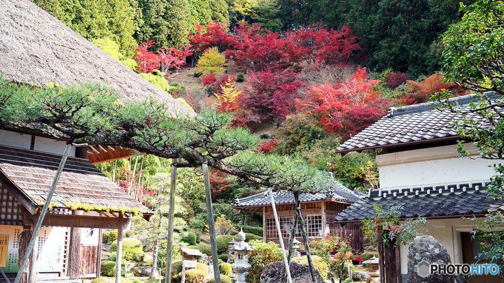 丹波紅葉めぐり ③