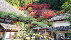 丹波紅葉めぐり ③