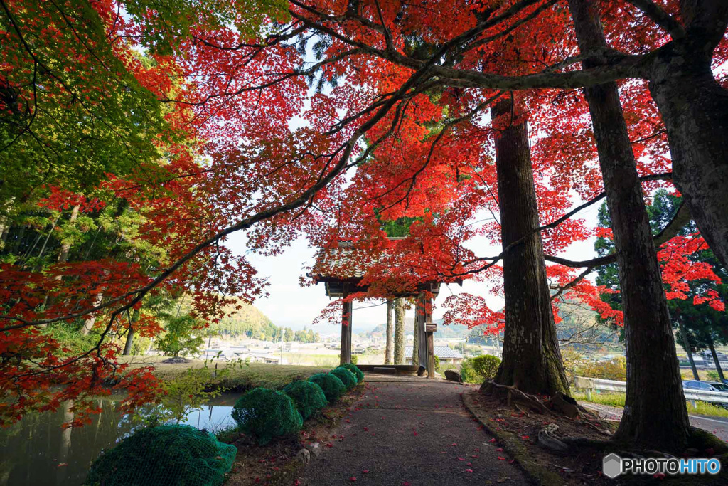 山門の紅葉