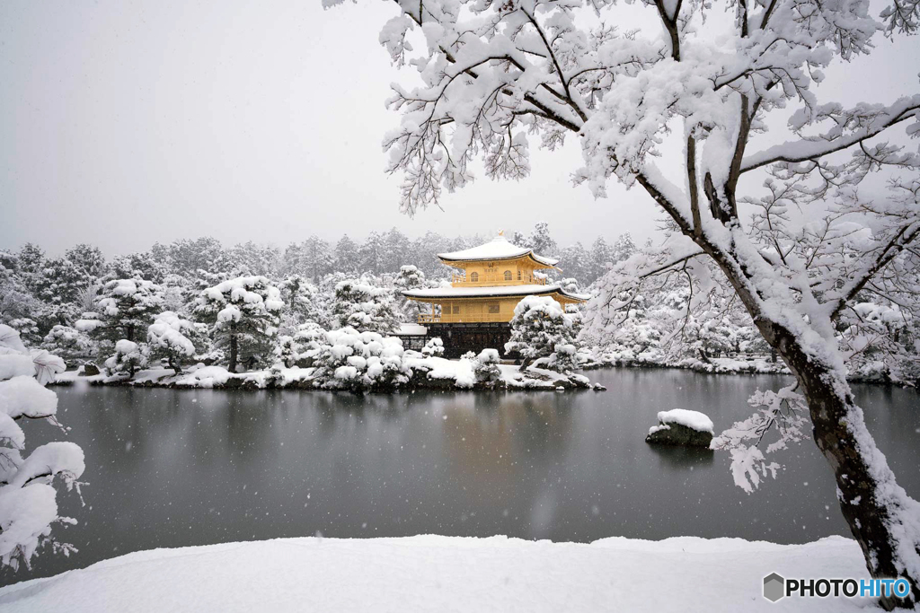 雪の金閣寺