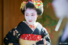 花街の新春