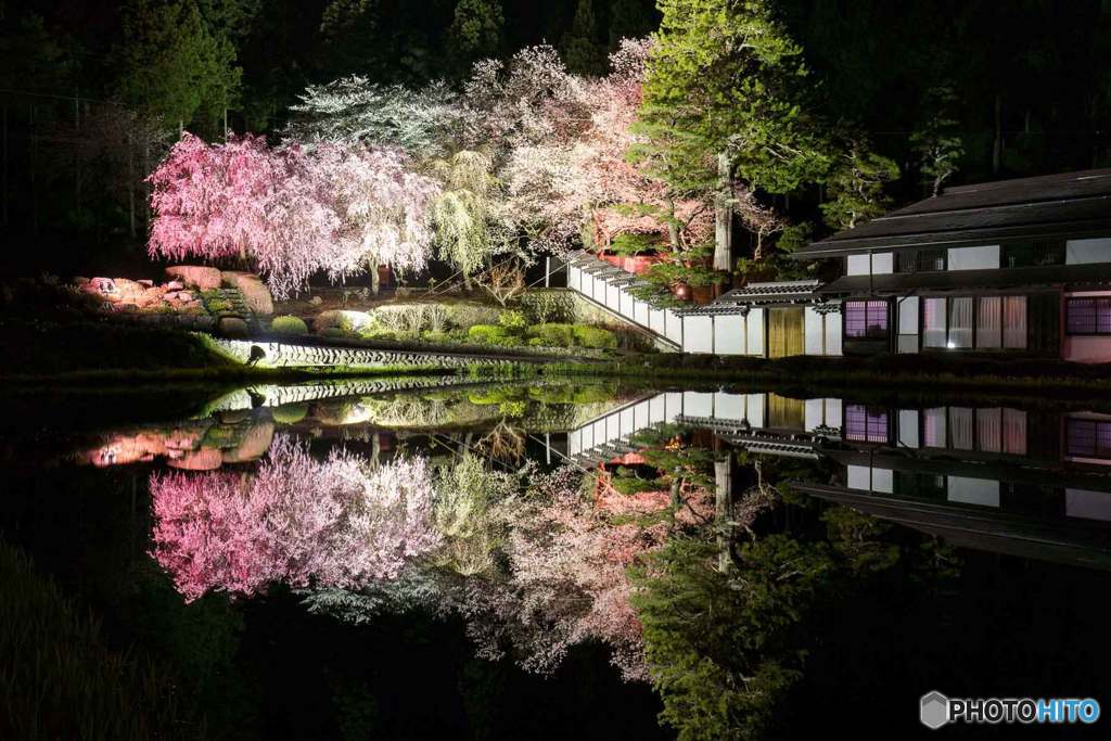 シンメトリー