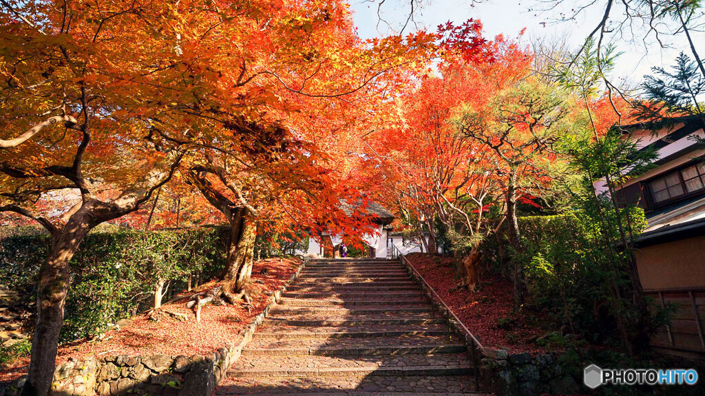 京都紅葉狩り ⑱
