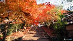 京都紅葉狩り ⑱