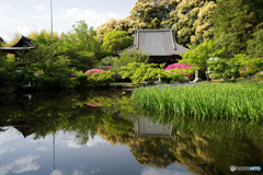 水鏡