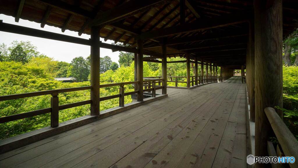 東福寺通天橋