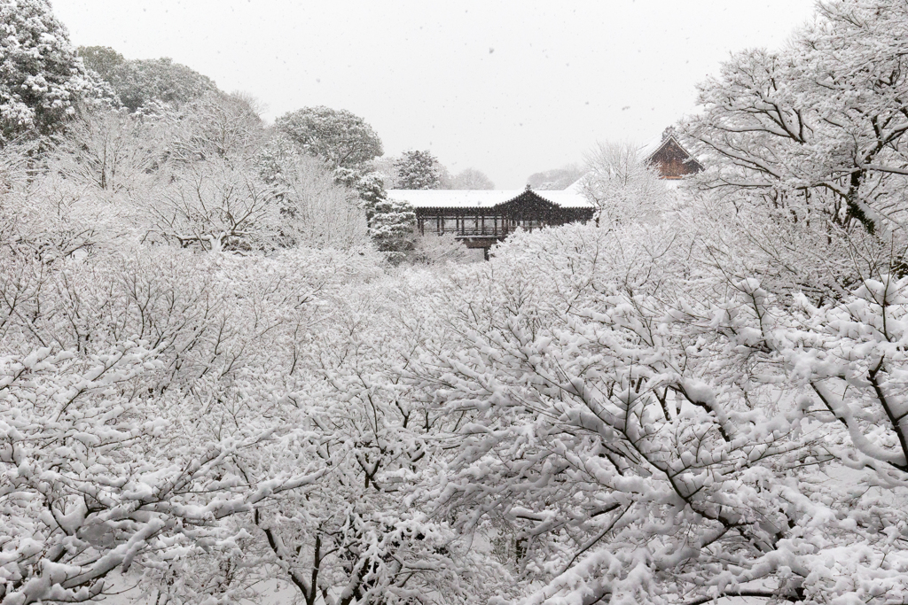 京都雪景色