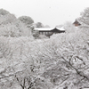 京都雪景色