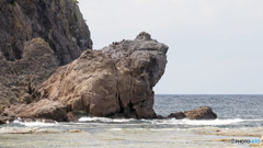 カエル島