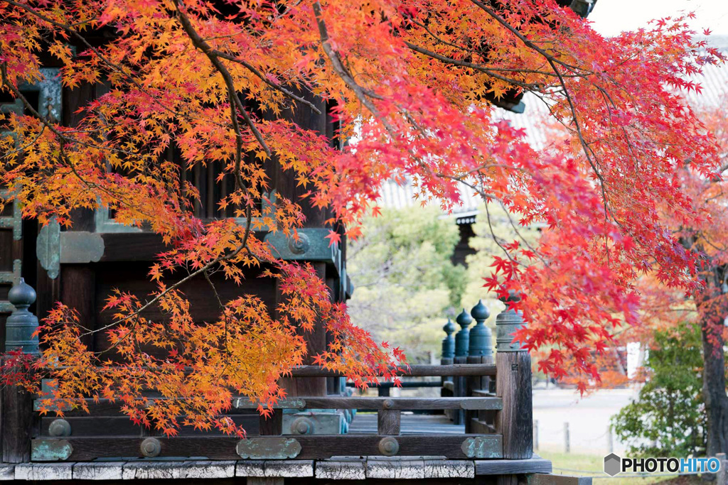 紅葉とお堂