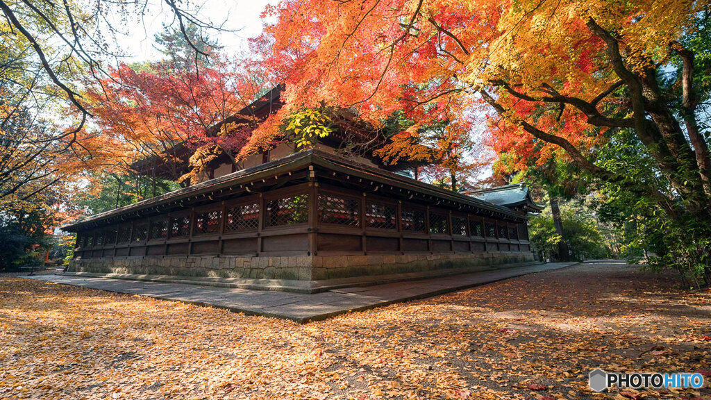 京都紅葉狩り ⑪