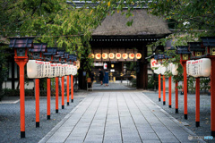 平野神社 奉灯祭