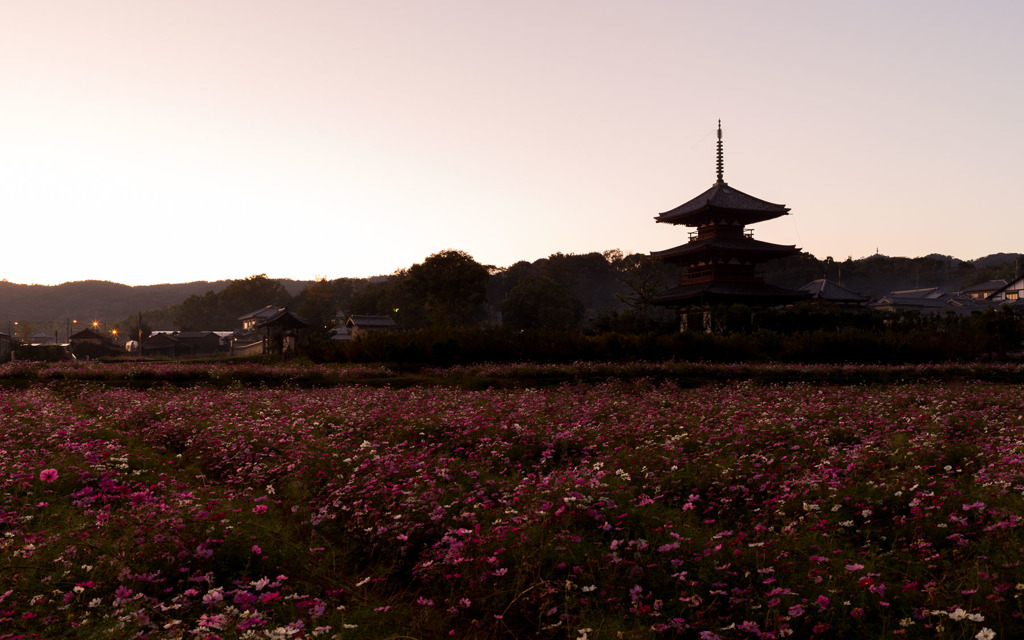 夕焼け