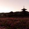夕焼け