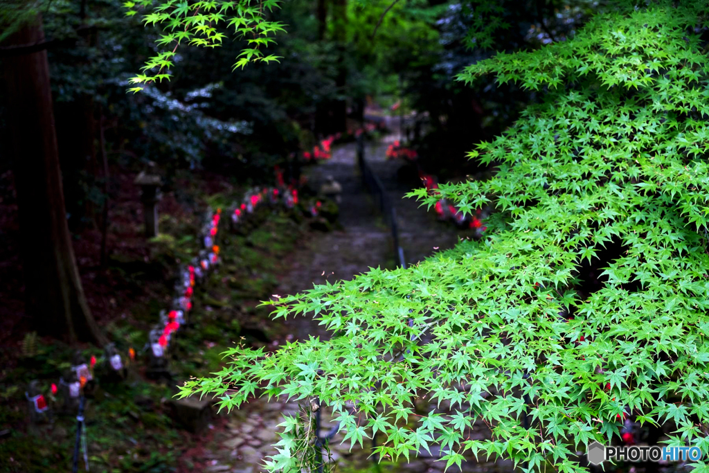 青紅葉と千躰地蔵