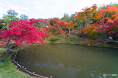 高台寺