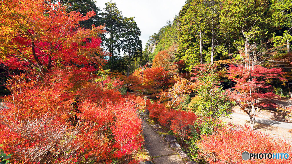 丹波紅葉めぐり ⑤