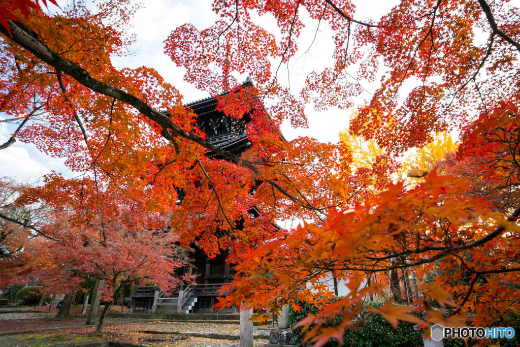 紅葉と三重塔