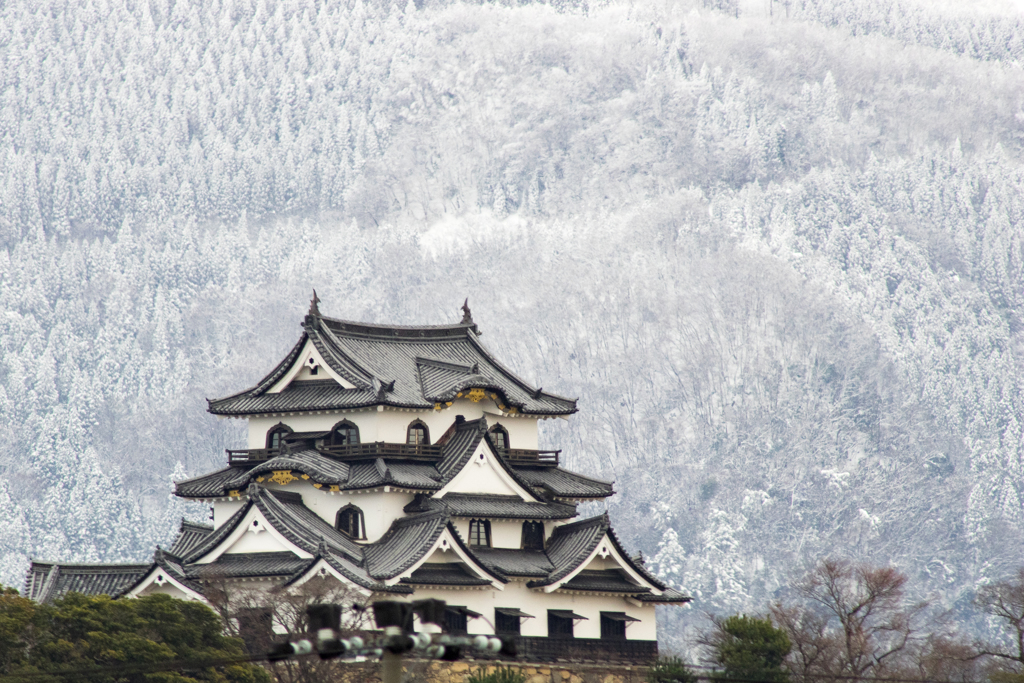 冬景色