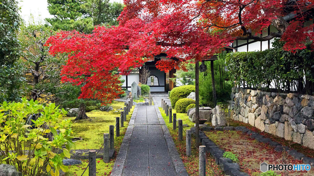 京都紅葉狩り ㉓