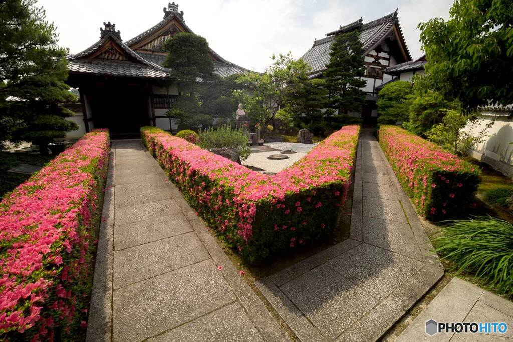 Mライン