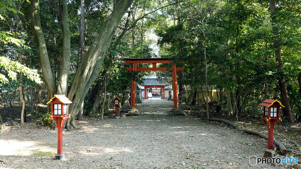 神社参道