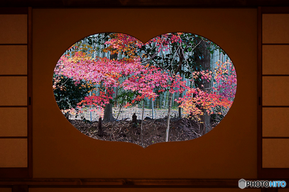 残り紅葉 ⑤