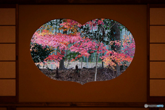 残り紅葉 ⑤