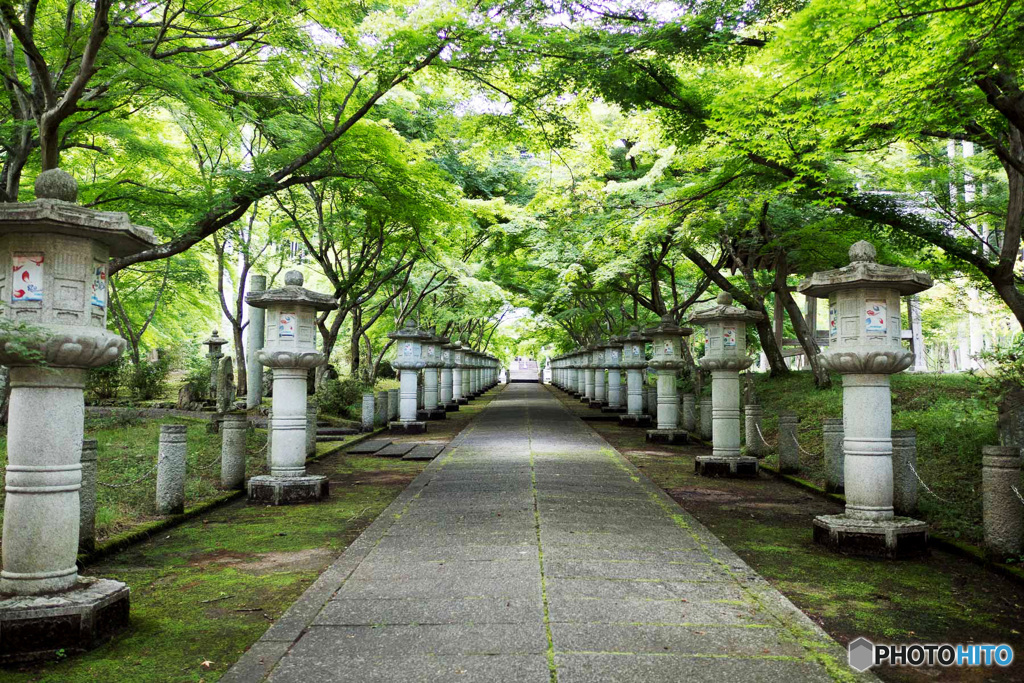 青紅葉の参道