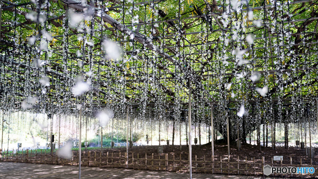 昼間のイルミネーション