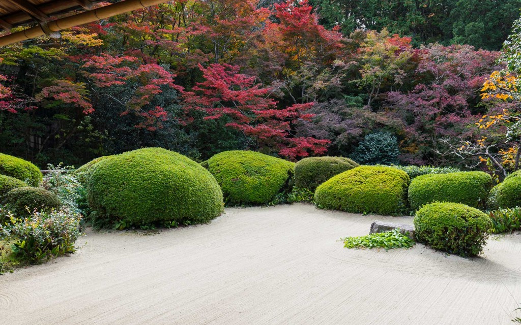 紅葉