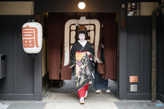 襟替え
