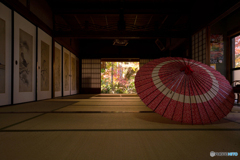 和傘のある風景
