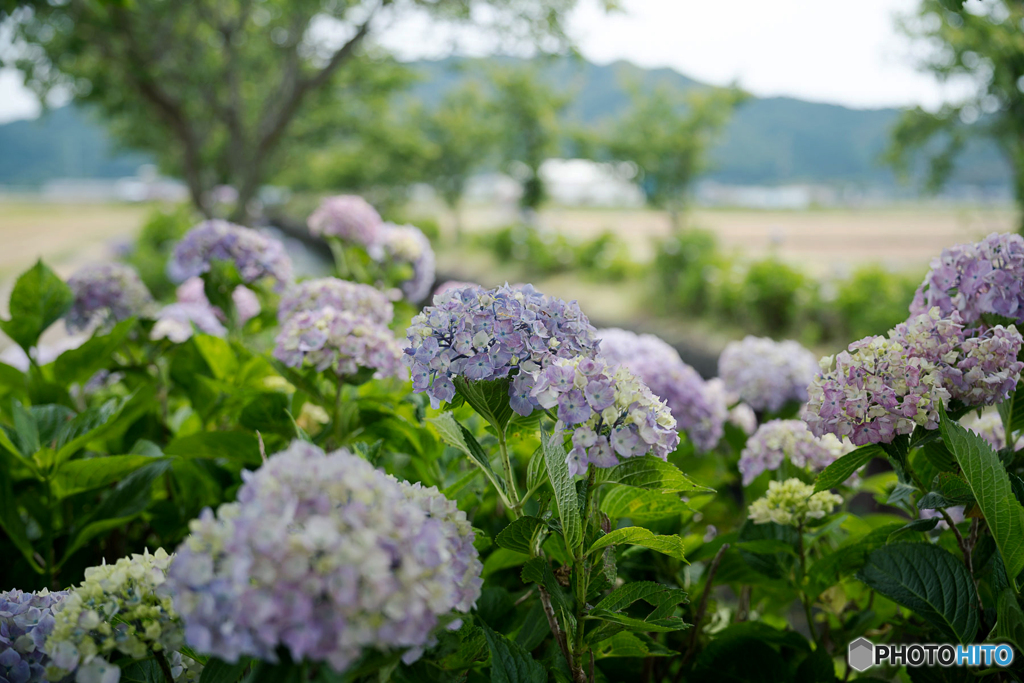 宮荘川