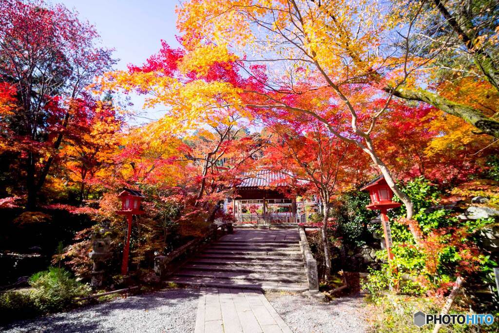 紅葉