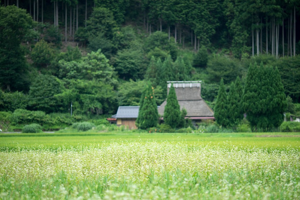 美山　かやぶきの里
