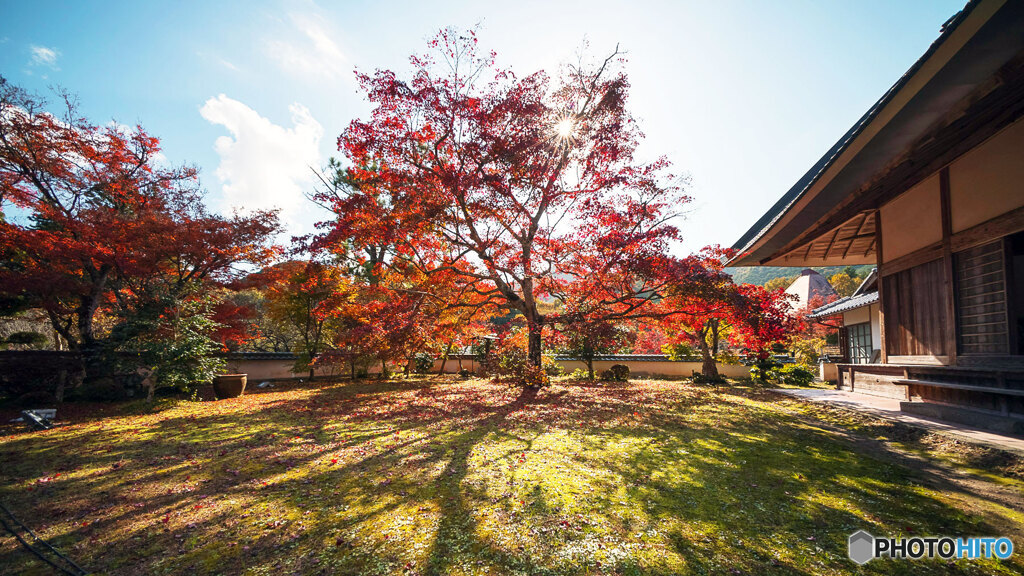 丹波紅葉めぐり ④