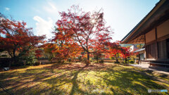 丹波紅葉めぐり ④