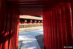 鳥居