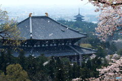 花吹雪
