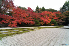 天授庵紅葉