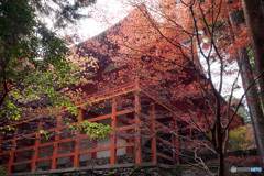紅葉