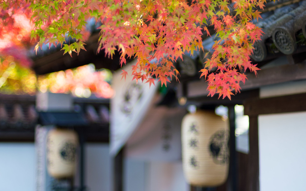 紅葉
