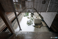 淡雪