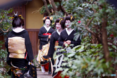 花街の新春