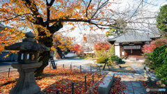 京都紅葉狩り ⑬