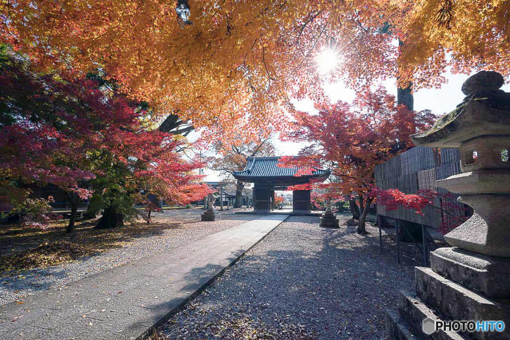 キラリ